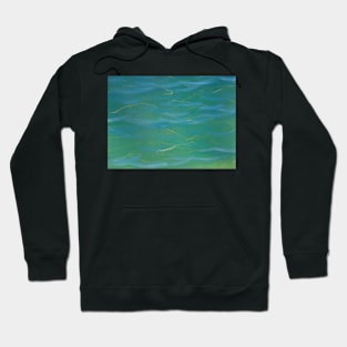 Water Test II Hoodie